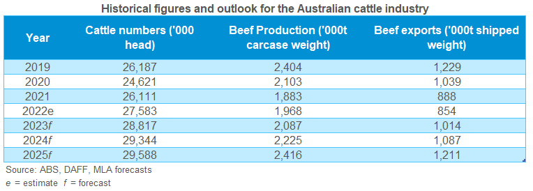 Table showing historical and forecasted Australian cattle production
